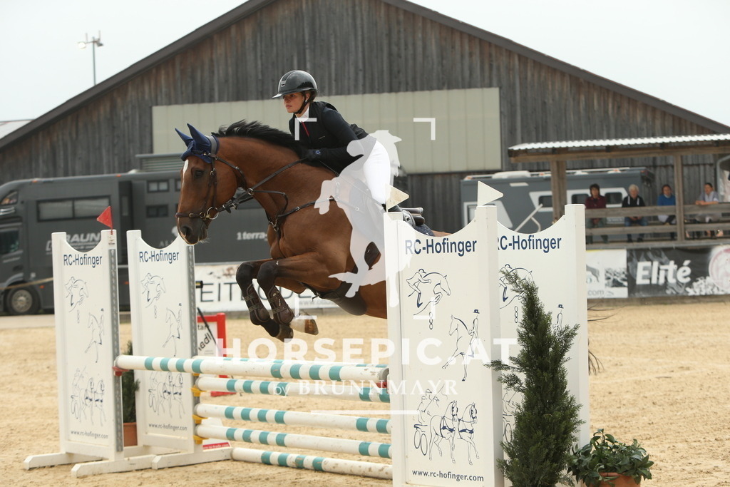 DL2Q5907 | Willkommen bei Brunnmayr - Design & Fotografie – Ihrem Spezialisten für Reitturniere und Pferdeveranstaltungen in Oberösterreich, Salzburg und Bayern! Seit über 17 Jahren sind wir leidenschaftlich dabei.