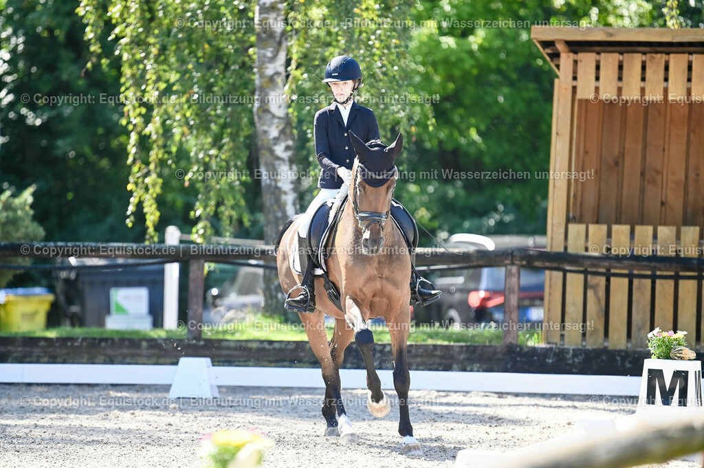 20230908_06_Dressur-L-Trense_0314 | equistock