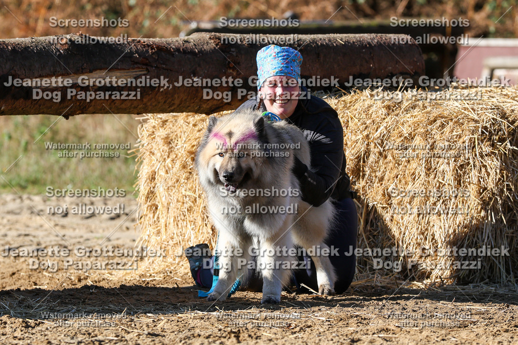 Dog Paparazzi - Strongdog 10-25-2565 | Dog Paparazzi Jeanette Grottendiek Fotografie & Videografie - Realisiert mit Pictrs.com