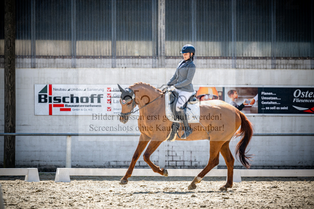 Turnier Laggenbeck 2026-10-0383 | Entdecke hochwertige Reitturnierfotos von Foto Oger. Professionell, emotional und authentisch – jetzt Lieblingsmomente im Shop bestellen.Deutschlandweite Turnierfotografie. - Realisiert mit Pictrs.com