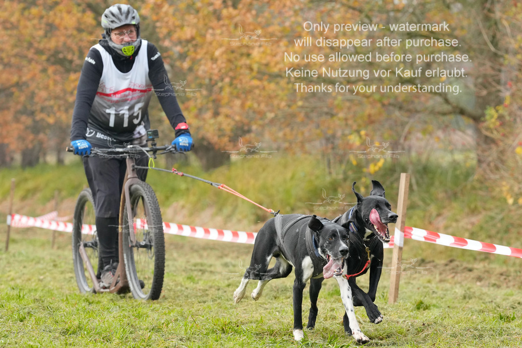 AusschnitteSa-207 | stephaniefillaphotographie - Realisiert mit Pictrs.com