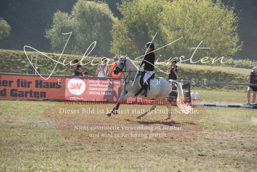 DSC_5874 | Pferde- und Turnierfotografie in Westsachsen. Pferdeportraits, Auftragszeichnungen und intuitive Kunst.
