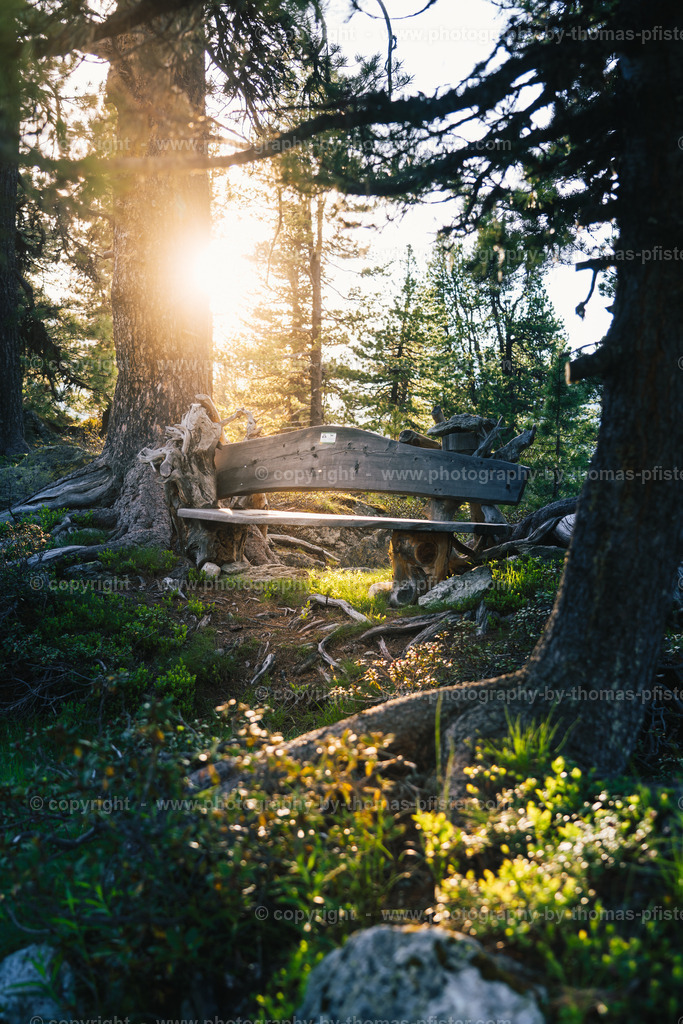 Sommer im Tuxertal copyright  Thomas Pfister-1 | PHOTOGRAPHY BY THOMAS PFISTER