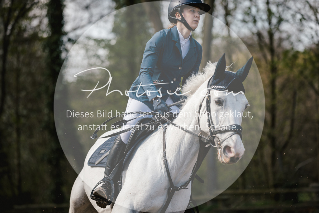 3I6A3997 | Stimmungsvolle Portraits und Reitsportfotografie im Ruhrgebiet und im Münsterland.

Pferdefotografie, Hundefotografie, Tierfotografie, Reportagen, Portraits von Tier und Mensch, Turnierfotografie in Bochum, Recklinghausen, Marl, Haltern am See, Dülmen.. - Realisiert mit Pictrs.com