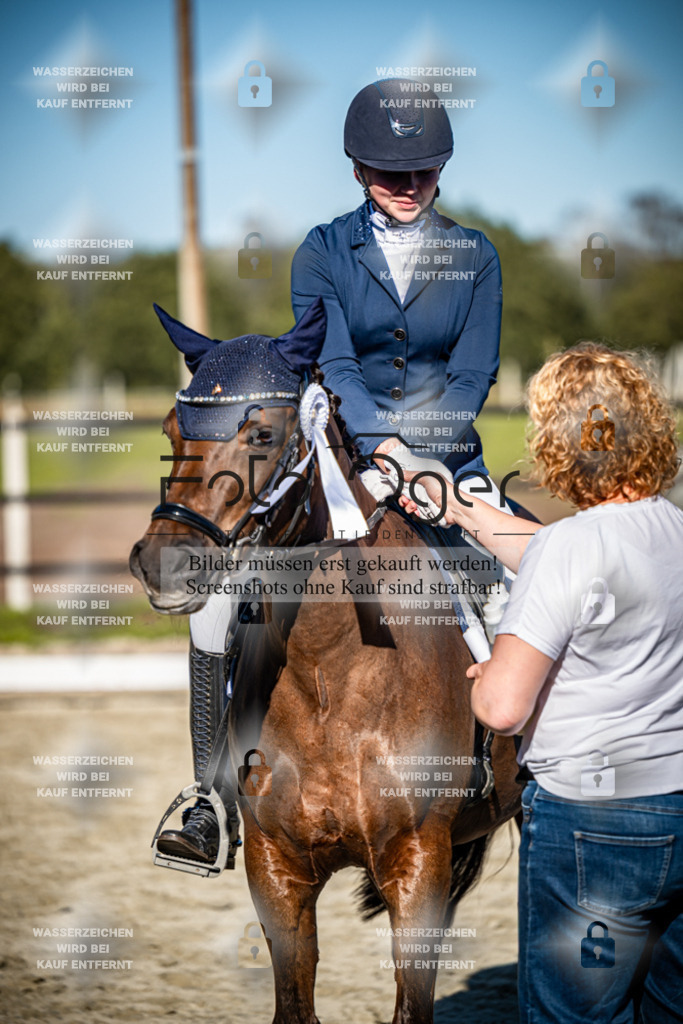 2026-09-Lohne-11-0010 | Entdecke hochwertige Reitturnierfotos von Foto Oger. Professionell, emotional und authentisch – jetzt Lieblingsmomente im Shop bestellen.Deutschlandweite Turnierfotografie. - Realisiert mit Pictrs.com