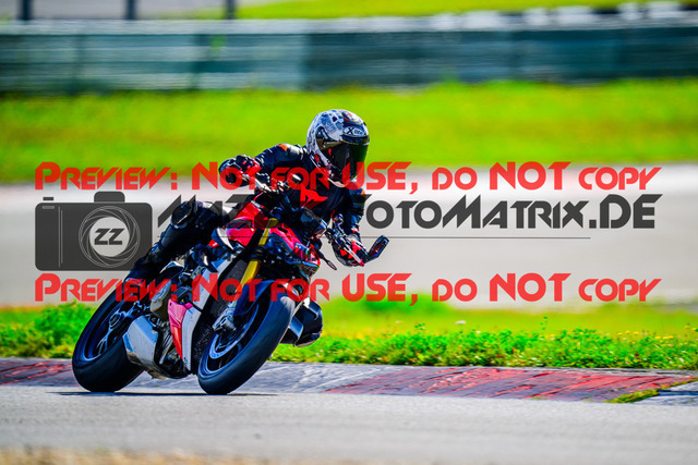 MaZZes_FotoMatrix_240911_6007705_8946 | GRUEN