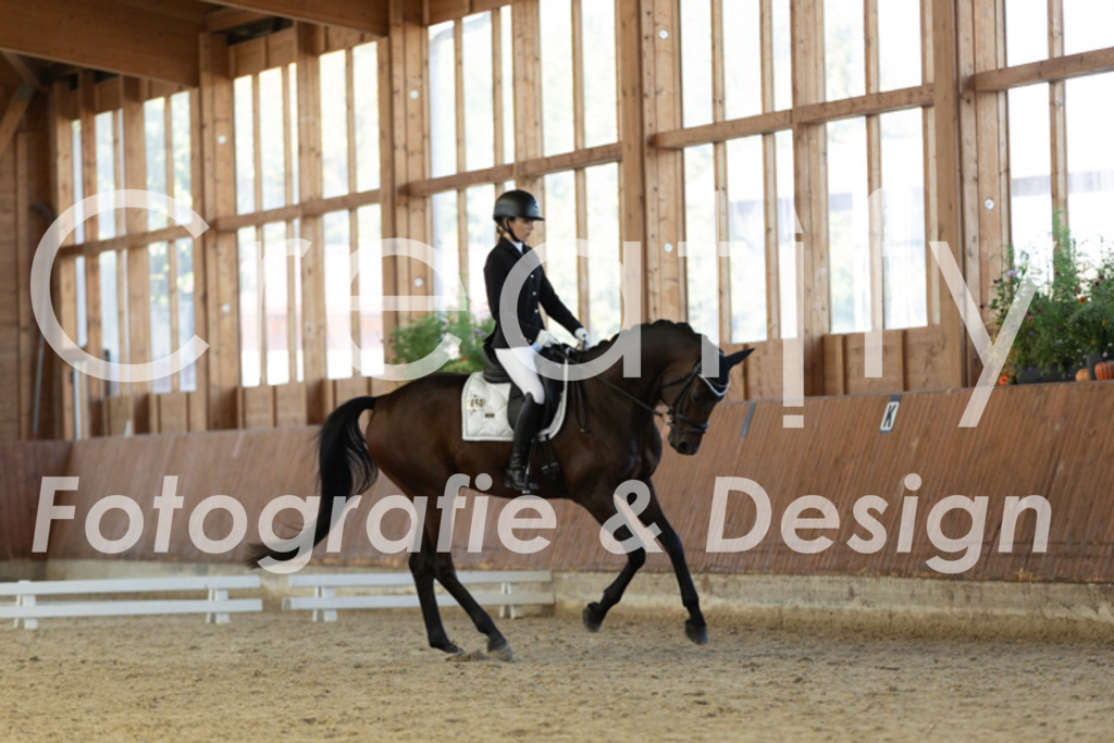 IMG_8656 | Creatify Fotografie