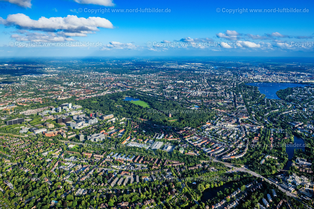 Hamburg_Stadtpark_ELS_2515090823 | HAMBURG 09.08.2023 Parkanlage am Stadtparksee in Hamburg, Deutschland. // Park of on Stadtparksee in Hamburg, Germany. Foto: Martin Elsen