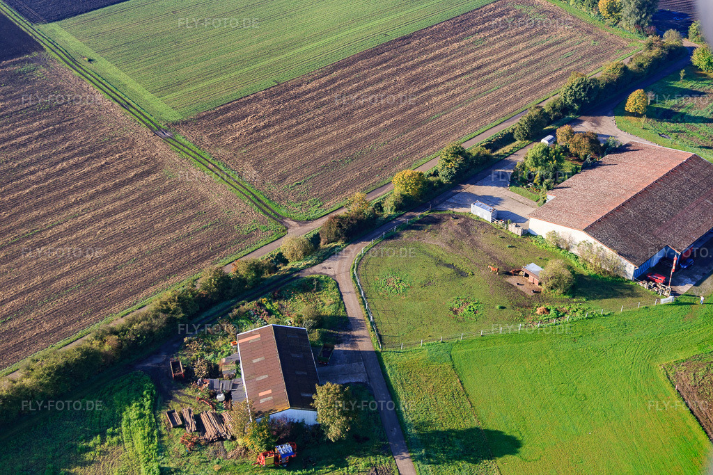 Luftbild: Olliskoppel in Bürstadt im Bundesland Hessen in Deutschland. Foto: IMG_075202.jpg vom 19.10.2014 durch Werner Riehm/FLY-FOTO.deAuflösung des Originals: 4713 x 3142 px