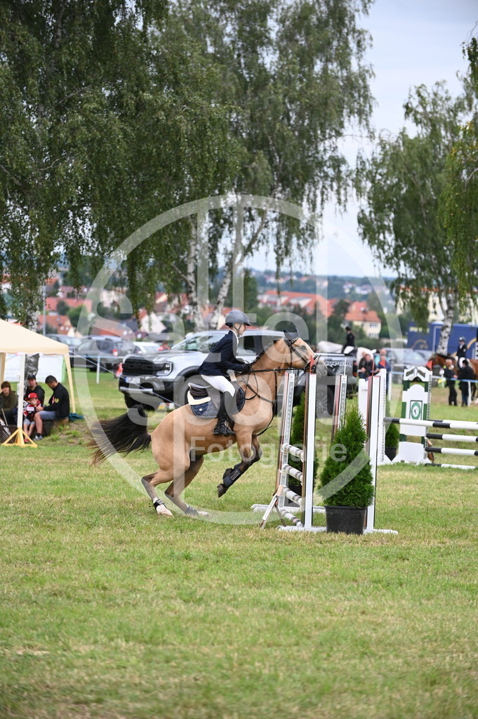 DSC_5089 | sattelsport - Realisiert mit Pictrs.com