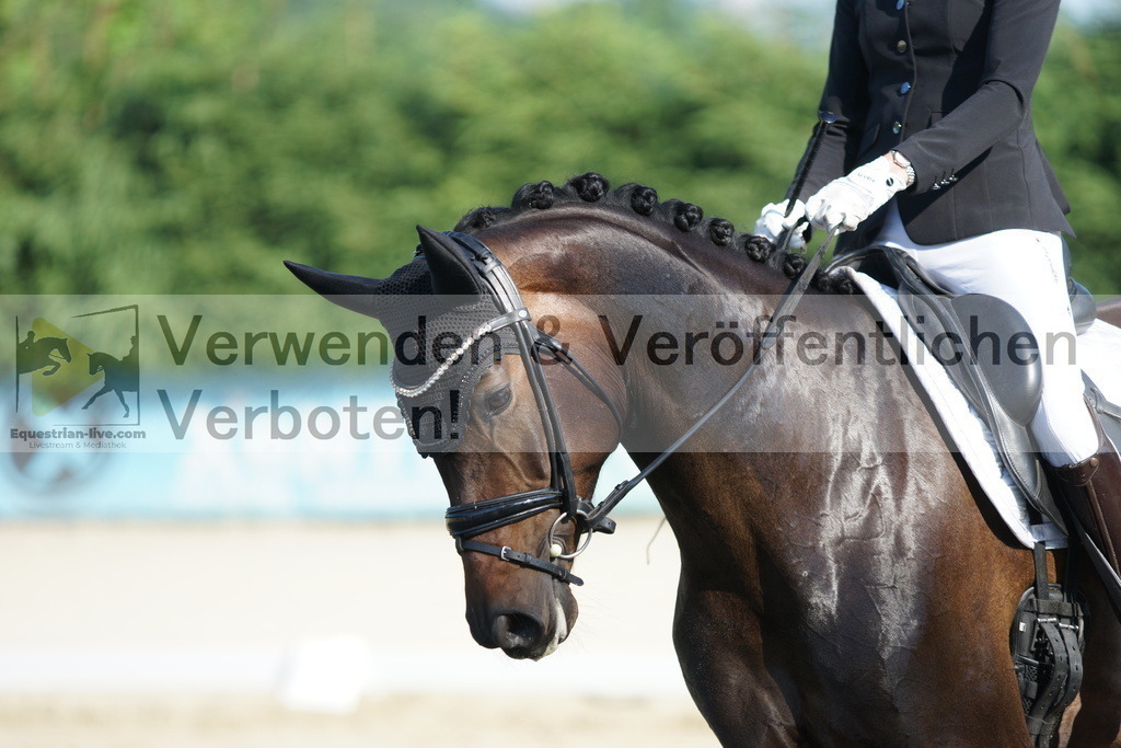 DSC02826 | equestrian-live-com