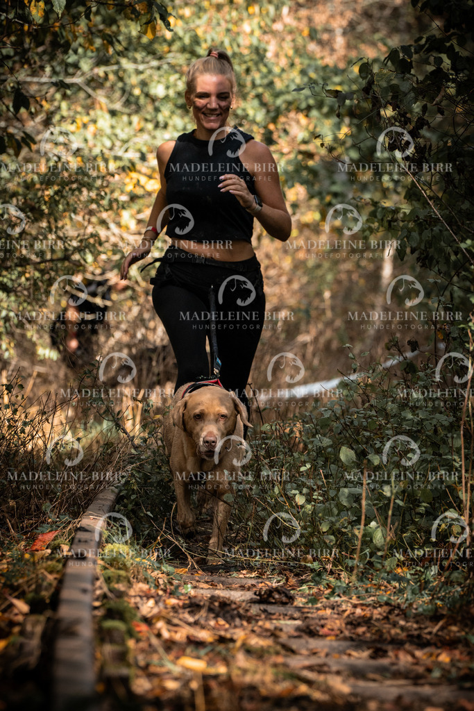 madeleinebirr.fotografie.2026.cc.hunsrueck.12-13Uhr.265 | hundefotografie-birr