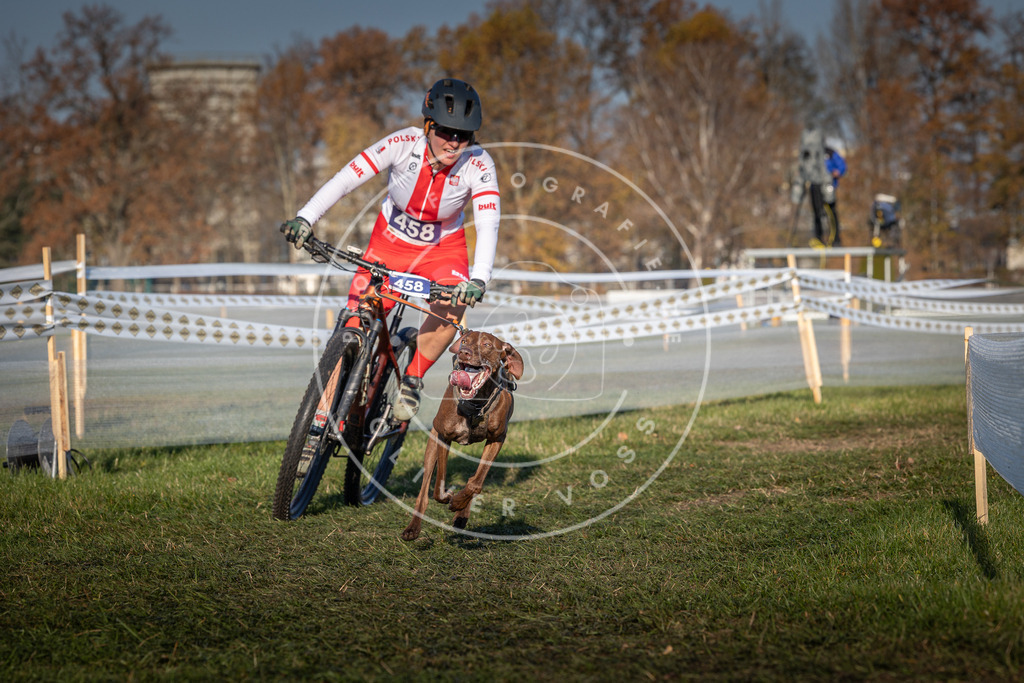 CaniXpix_0L8A4470 | Hundefotografie, Tierfotograf, Pfotenfotografie, Fotoshooting Hund, Hunde Portrait, Hundesport, Hundeportraits, Heideshooting, Hunde, Sportfotograf, Hundefotograf, Turnierhundsport, THS,  - Realisiert mit Pictrs.com