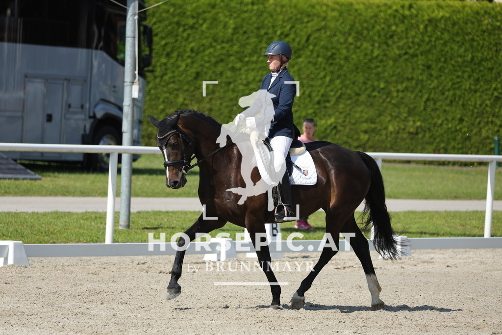 0P6A0410 | Willkommen bei Brunnmayr - Design & Fotografie – Ihrem Spezialisten für Reitturniere und Pferdeveranstaltungen in Oberösterreich, Salzburg und Bayern! Seit über 17 Jahren sind wir leidenschaftlich dabei.
