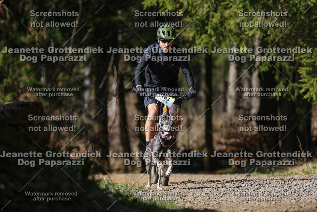 Dog Paparazzi - VCC26-170 | Dog Paparazzi Jeanette Grottendiek Fotografie & Videografie - Realisiert mit Pictrs.com