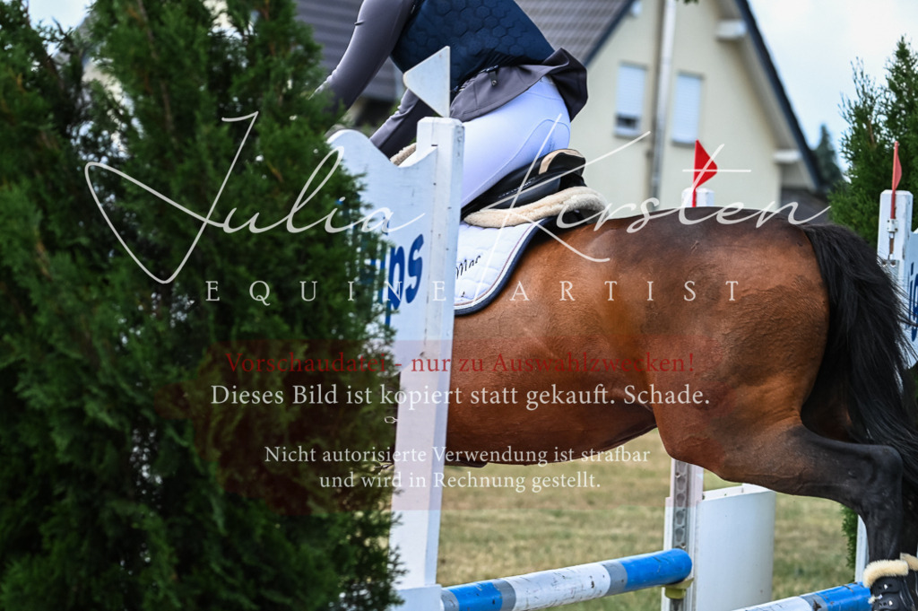 DSC_8018 | Pferde- und Turnierfotografie in Westsachsen. Pferdeportraits, Auftragszeichnungen und intuitive Kunst.