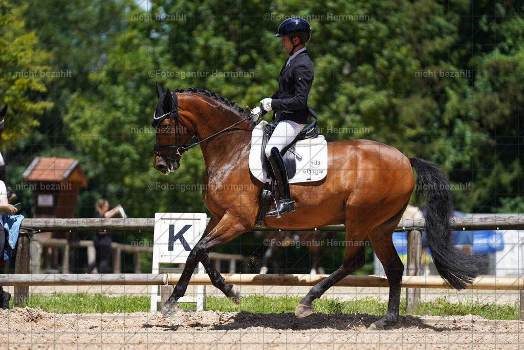 20240705-FAH03834 | Turnierbilder von Grafing, Reitsportbilder, Turnierfotos, Turnierfotografen Bayern, Pferdefotograf, Fotoagentur Herrmann