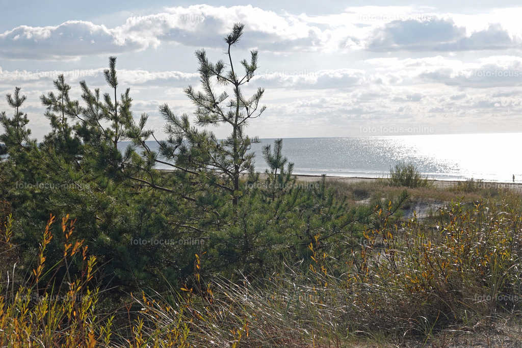 Beach attracts with unusually white and fine sand | foto-focus-online