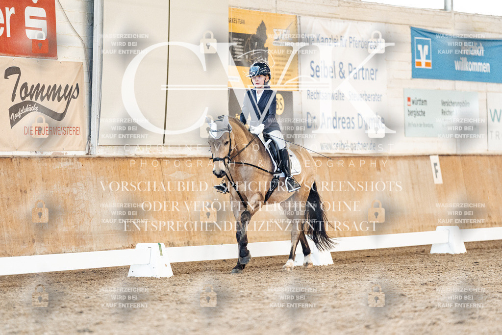 CK907415 | Turnierfotografie Pferdefotografie Trier Rheinland-Pfalz Pferdesport Reitsport Tierfotografie Sportfotografie Pferdevideo Pferdevideografie Equestrianvideography equestrianphotography  - Realisiert mit Pictrs.com