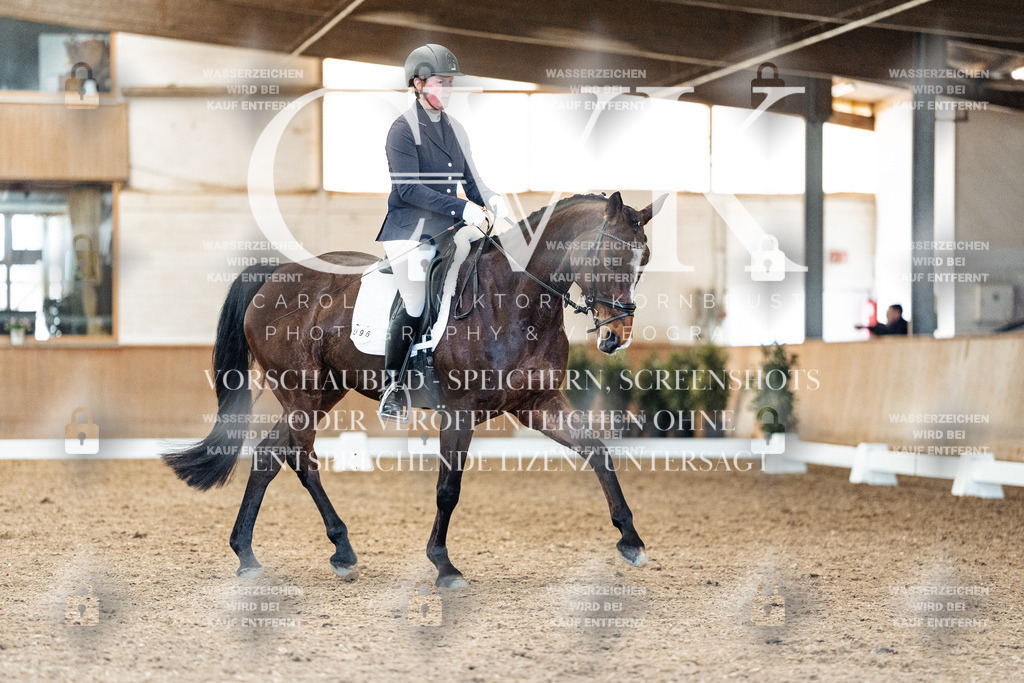 CK909180 | Turnierfotografie Pferdefotografie Trier Rheinland-Pfalz Pferdesport Reitsport Tierfotografie Sportfotografie Pferdevideo Pferdevideografie Equestrianvideography equestrianphotography  - Realized with Pictrs.com