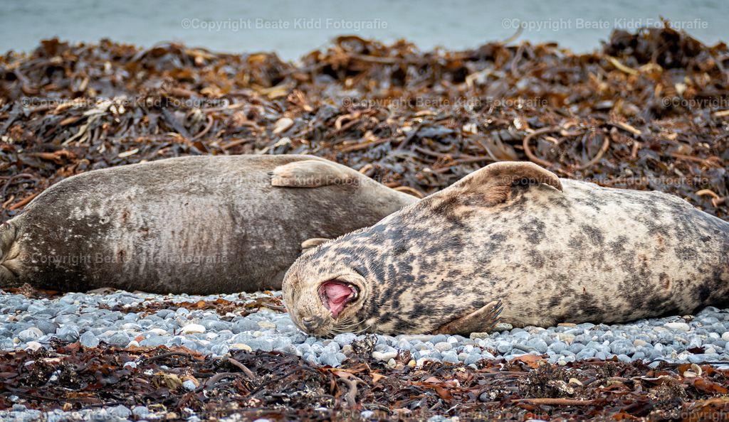 P1210663 | beatekidd-fotografie - Realisiert mit Pictrs.com