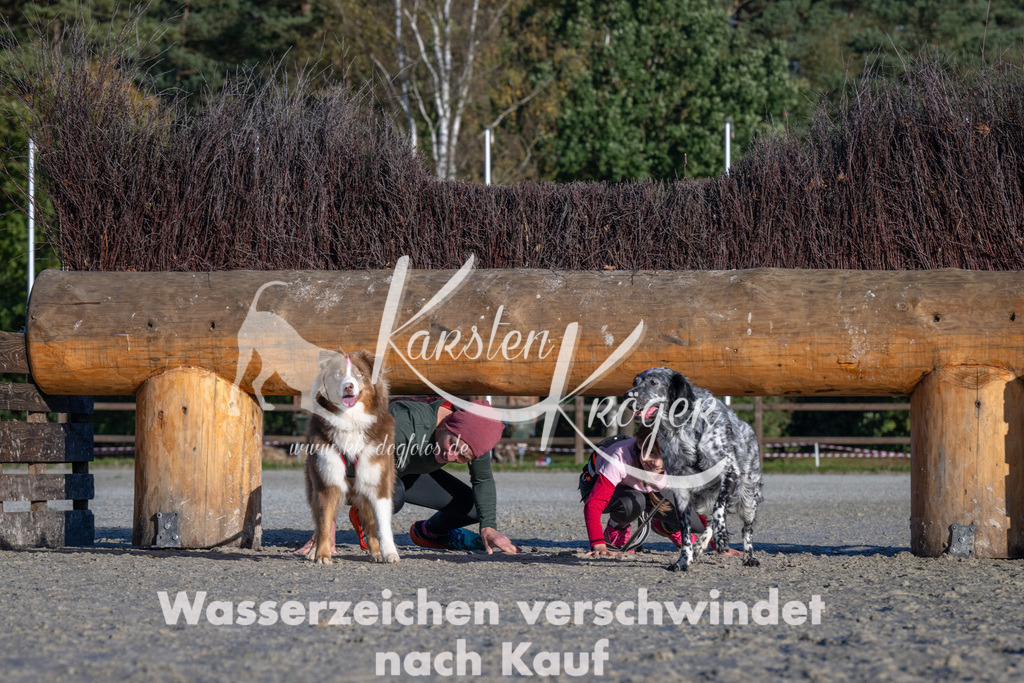 1014-_ZZ90458 | kk-dogfotos