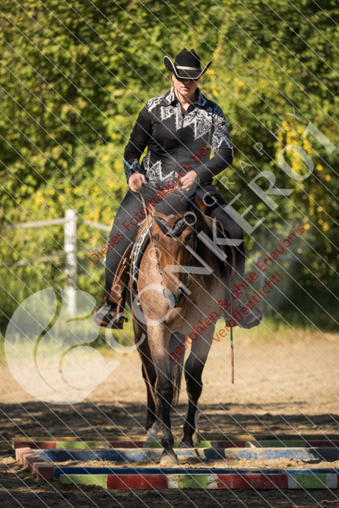 IMG_7209 | Sport-, Event- und Tierfotos in Profiqualität. Einfach auswählen, bestellen und herunterladen. Dein Moment – perfekt festgehalten.