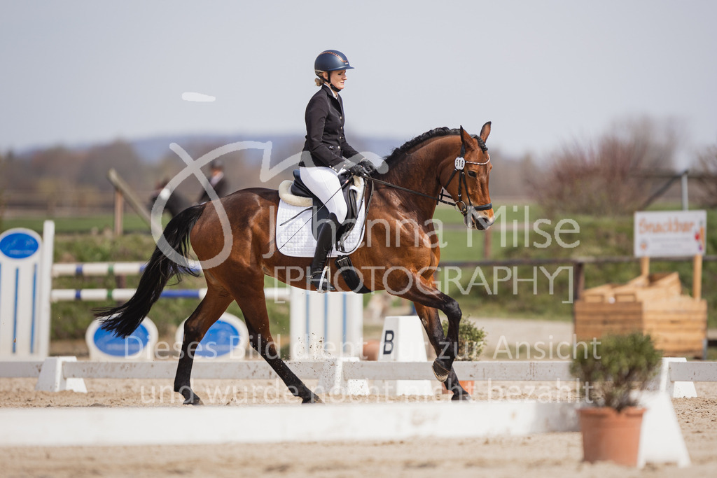 230410_Frühlingsfest_DressurWBE1-209 | Deine schönsten Turniermomente als professionelle Fotos! Entdecke hochwertige Pferdesport-Fotografie im Online-Shop. Jetzt Fotos finden & bestellen!