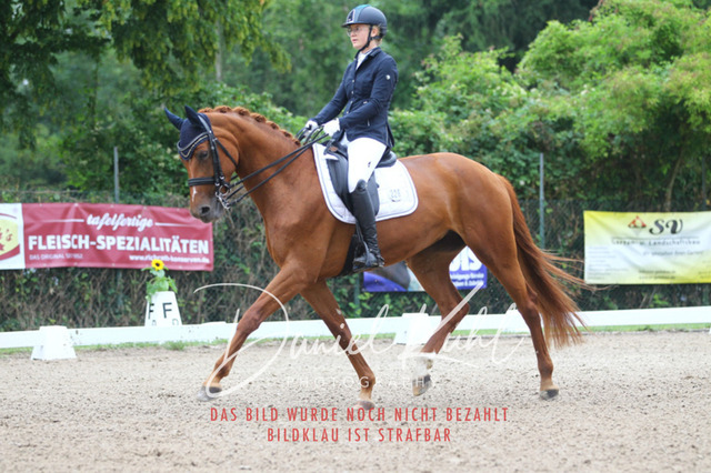 DKP40070 | Turniersportfotografie; Pferdefotografie; Dressurfotografie