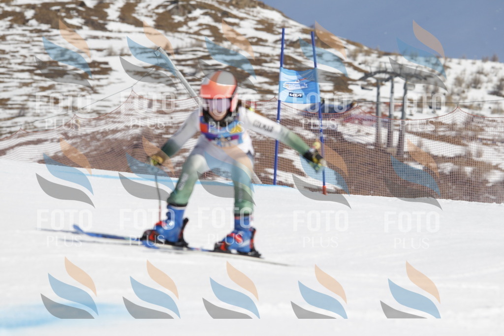 _U3G0154 | holidayphoto