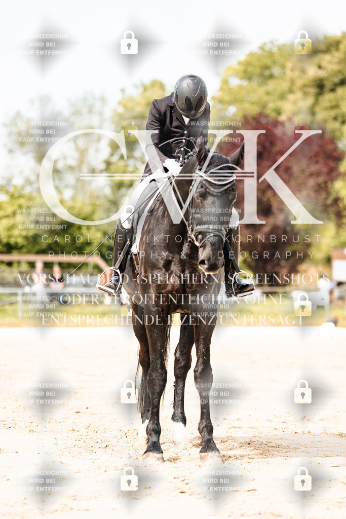 CK901065 | Turnierfotografie Pferdefotografie Trier Rheinland-Pfalz Pferdesport Reitsport Tierfotografie Sportfotografie Pferdevideo Pferdevideografie Equestrianvideography equestrianphotography  - Realisiert mit Pictrs.com