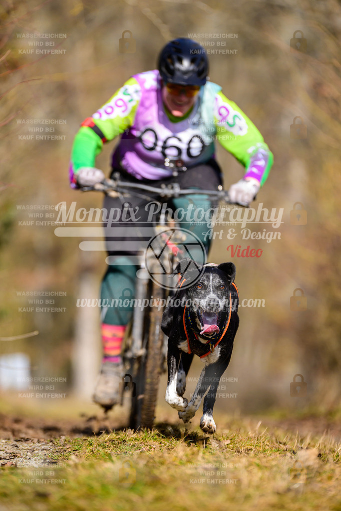 MompixPhotography_Schwabentrail2025_SO_Bike-104 | PayLife