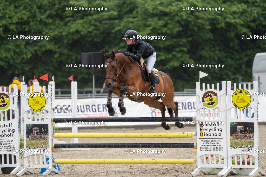 DSC07116 | Entdecke einzigartige Turnierfotos und persönliche Pferde- und Hundeportraits bei LA Photography. Für jeden Reiter und Pferd das perfekte Bild! Stöbere jetzt! - Realisiert mit Pictrs.com