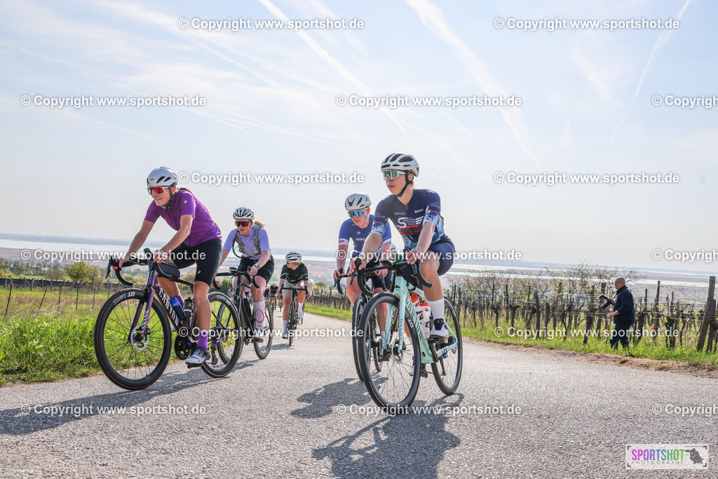 007A9196 | Neusiedlersee Radmarathon #neusiedlerseeradmarathon #neusiedlersee #nrm26 #yourpictrs #sportshot_your_pictrs