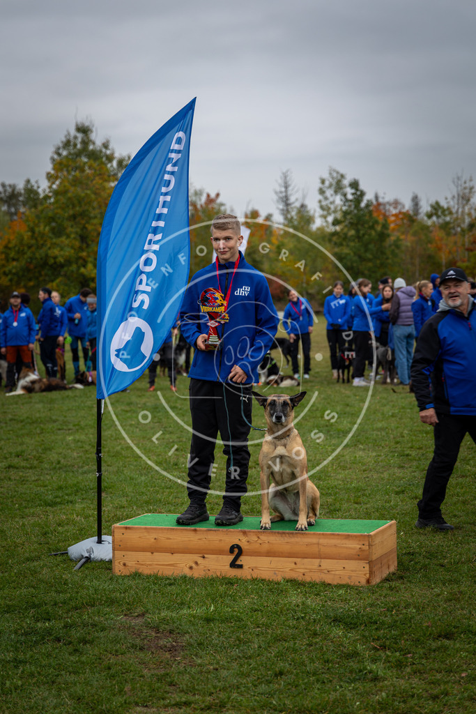 Pfotenfotografie_0L8A0524 | Hundefotografie, Tierfotograf, Pfotenfotografie, Fotoshooting Hund, Hunde Portrait, Hundesport, Hundeportraits, Heideshooting, Hunde, Sportfotograf, Hundefotograf, Turnierhundsport, THS,  - Realisiert mit Pictrs.com