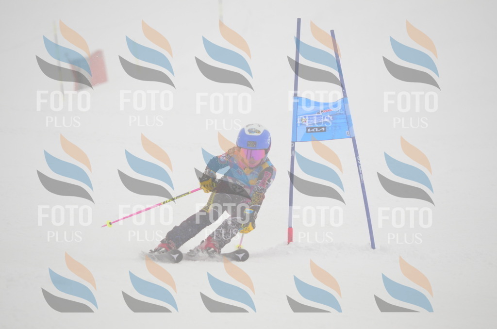 C1244 | holidayphoto