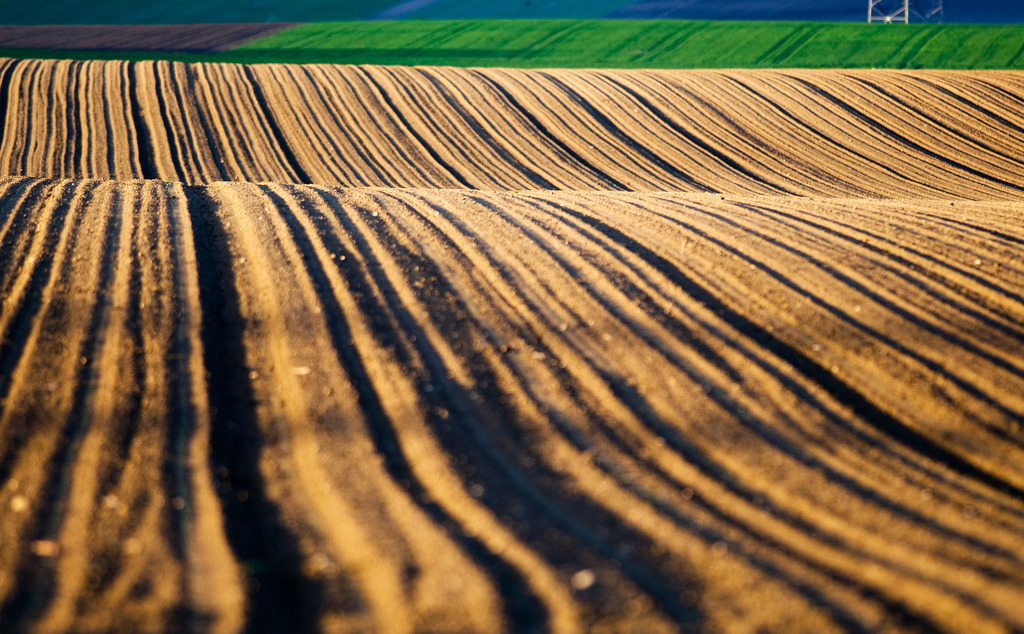 Zuckerruebenfeld | Arbesthal, Austria - April 19, 2008: Zuckerruebenfeld. - Realisiert mit Pictrs.com