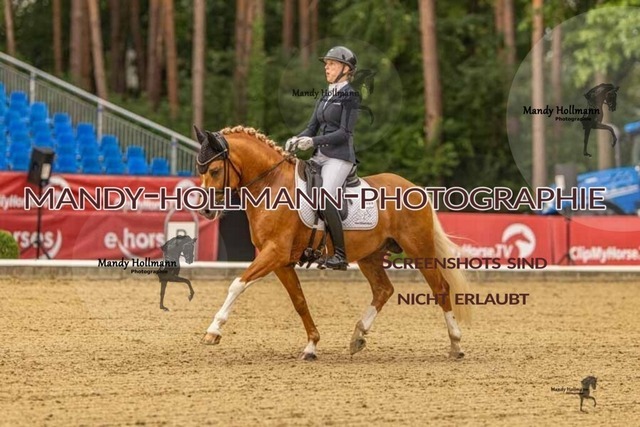 28-8-26 5j DRE-192 | mandyhollmannphotographie