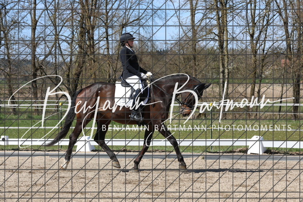 AZ2A4427 | Benjamin Bartmann Photomoments