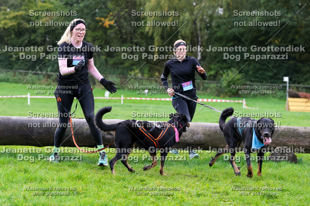 Dog Paparazzi -  SD1026-981 | Dog Paparazzi Jeanette Grottendiek Fotografie & Videografie - Realisiert mit Pictrs.com