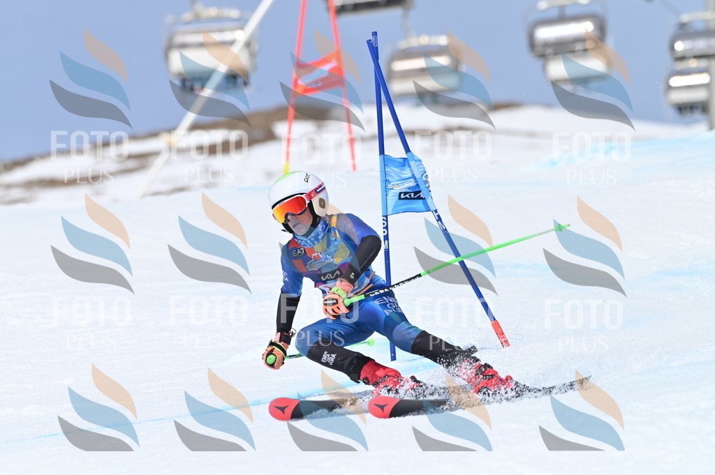 BGV_3504 | holidayphoto