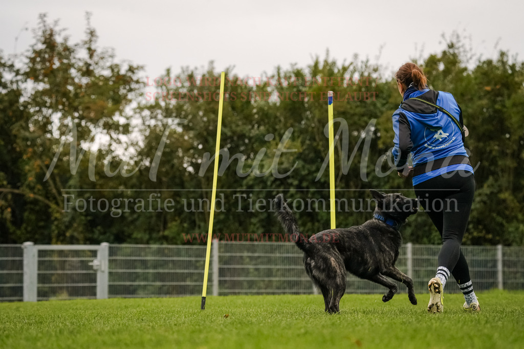 20251005_THS_Turnier-438 | MuT (Mensch und Tier) mit Mona - Fotografie und Tierkommunikation - Realisiert mit Pictrs.com