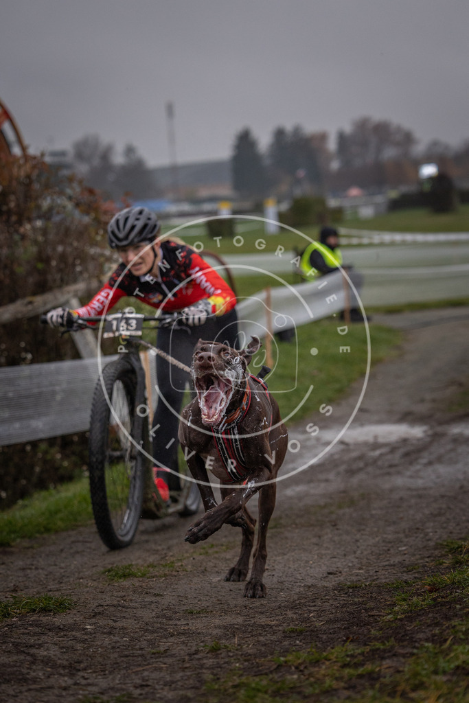 CaniXpix_0L8A0281 | Hundefotografie, Tierfotograf, Pfotenfotografie, Fotoshooting Hund, Hunde Portrait, Hundesport, Hundeportraits, Heideshooting, Hunde, Sportfotograf, Hundefotograf, Turnierhundsport, THS,  - Realisiert mit Pictrs.com