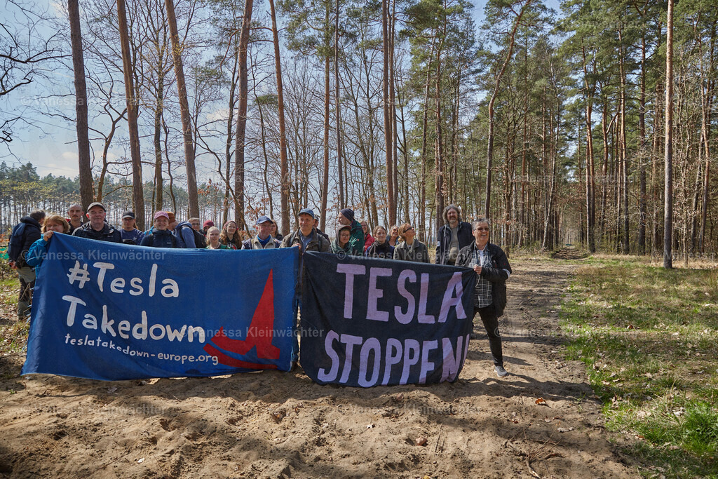 250412_TeslaWaldspaziergang_00031 | Vanessa Kleinwächter - Realisiert mit Pictrs.com