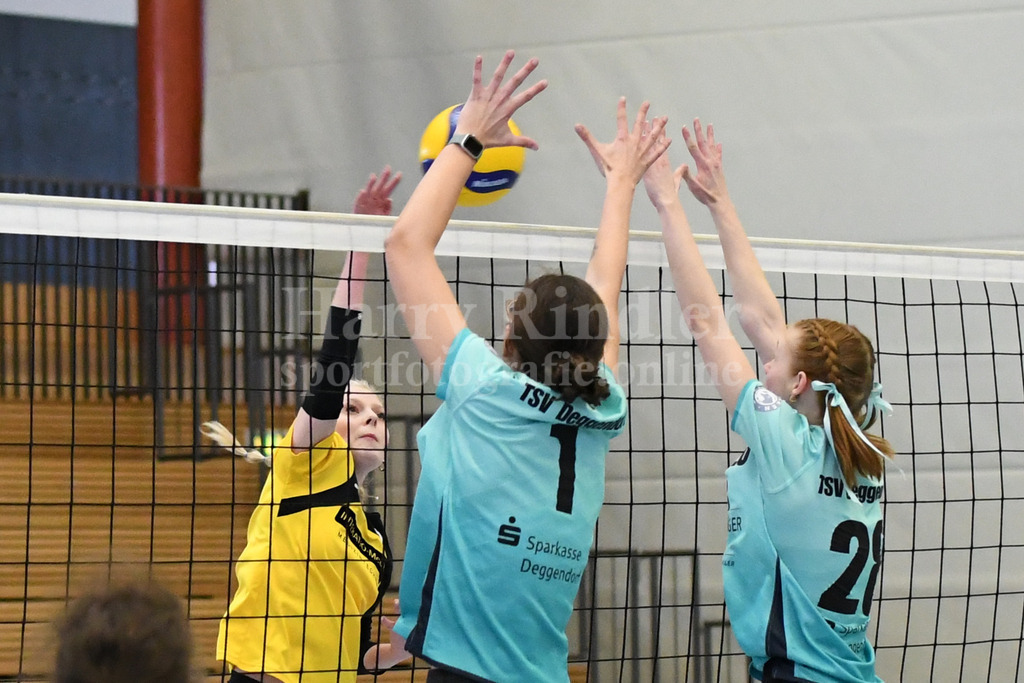 TSV Deggendorf Damen  : FC Ruderting | TSV Deggendorf Damen Volleyball - Realisiert mit Pictrs.com