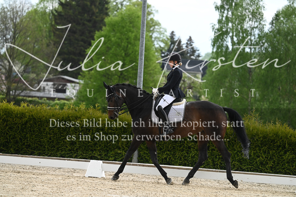 20230512_JK-Röhrsdorf-05-029 | Pferde- und Turnierfotografie in Westsachsen. Pferdeportraits, Auftragszeichnungen und intuitive Kunst.