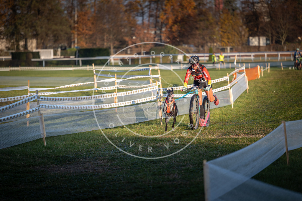 CaniXpix_0L8A2445 | Hundefotografie, Tierfotograf, Pfotenfotografie, Fotoshooting Hund, Hunde Portrait, Hundesport, Hundeportraits, Heideshooting, Hunde, Sportfotograf, Hundefotograf, Turnierhundsport, THS,  - Realisiert mit Pictrs.com