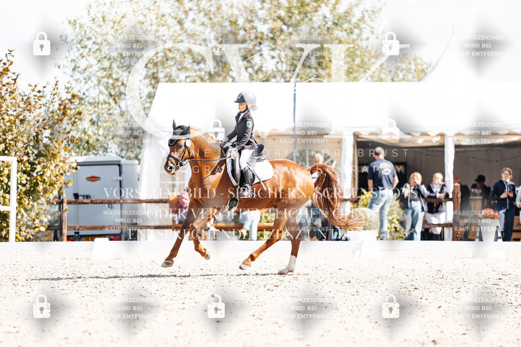 CK903085 | Turnierfotografie Pferdefotografie Trier Rheinland-Pfalz Pferdesport Reitsport Tierfotografie Sportfotografie Pferdevideo Pferdevideografie Equestrianvideography equestrianphotography  - Realisiert mit Pictrs.com