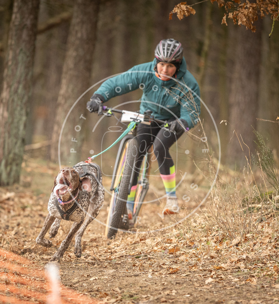 Pfotenfotografie_DV3A3913 | Hundefotografie, Tierfotograf, Pfotenfotografie, Fotoshooting Hund, Hunde Portrait, Hundesport, Hundeportraits, Heideshooting, Hunde, Sportfotograf, Hundefotograf, Turnierhundsport, THS,  - Realisiert mit Pictrs.com