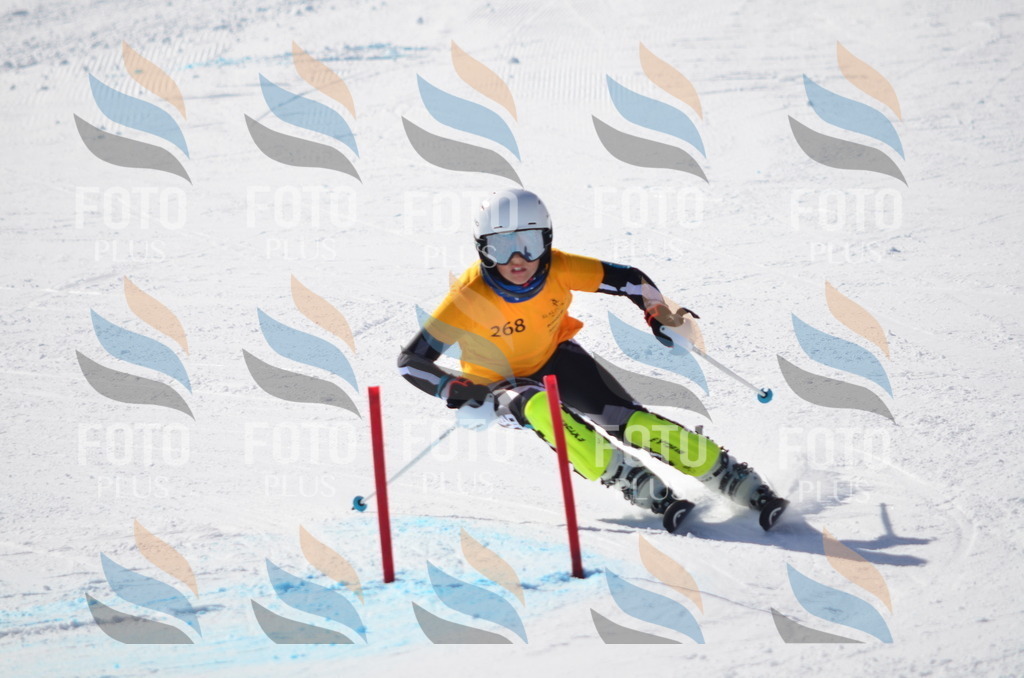 C8569 | holidayphoto